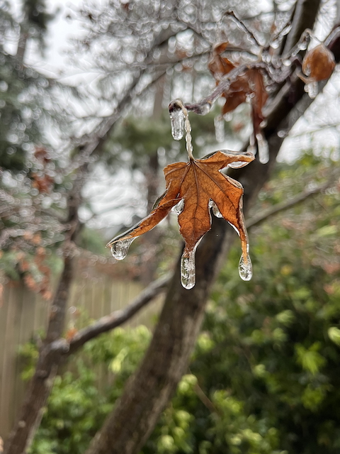 ice-e.jpg