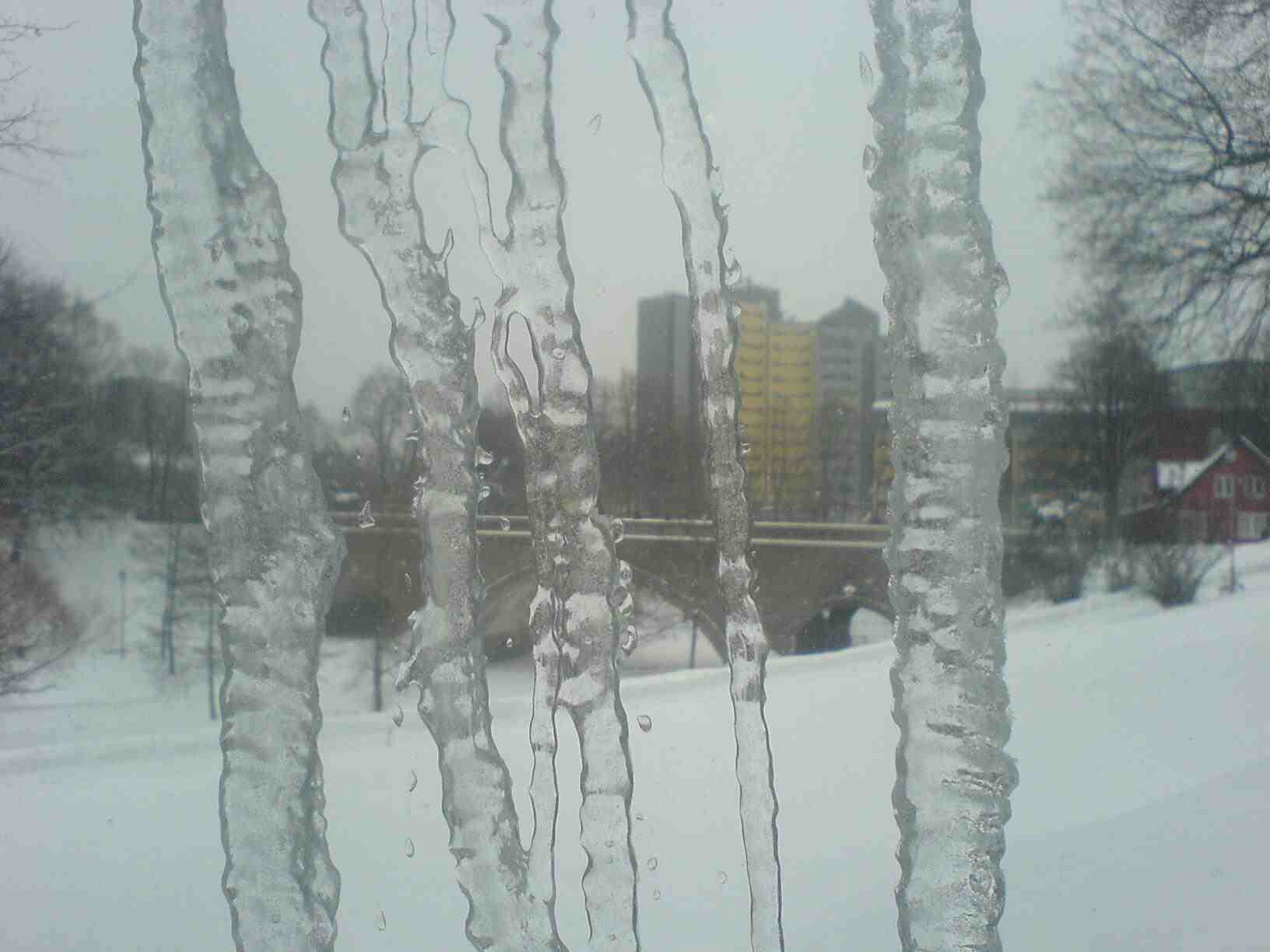 Iceicles.jpg