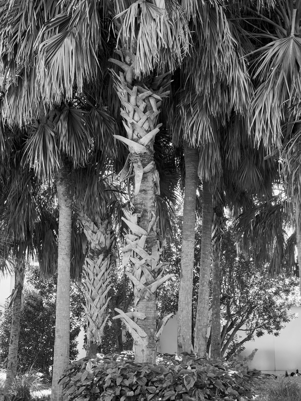 IDG_20251013_095020_160.jpeg