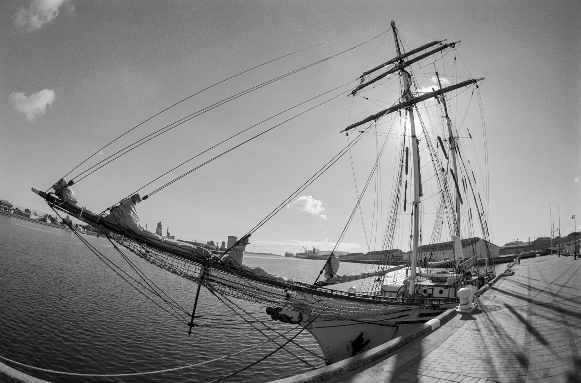 Ilford_PAN_F_Plus_One_And_All.jpg