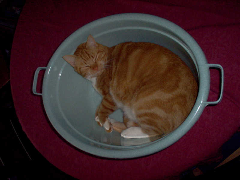 IM000482_1.jpg