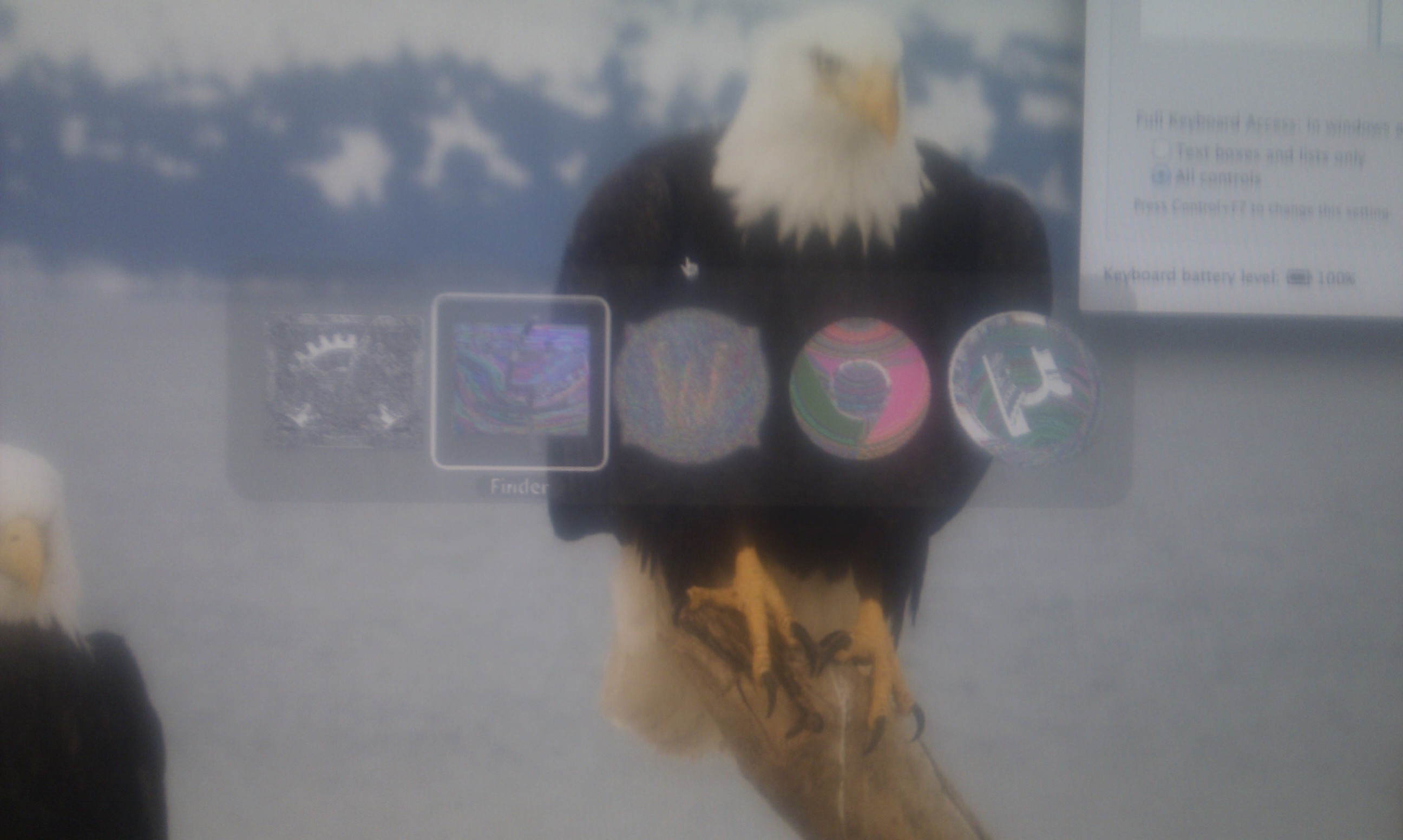 IMAG0001.jpg