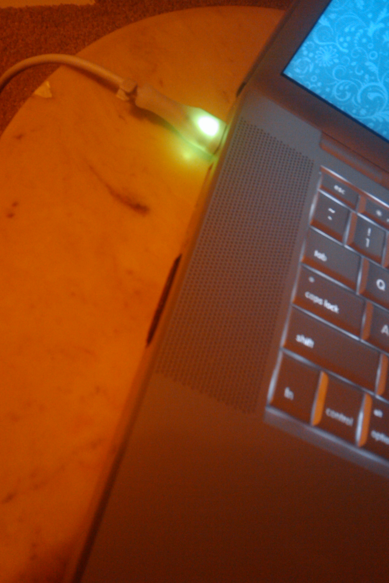 IMAG0005.jpg