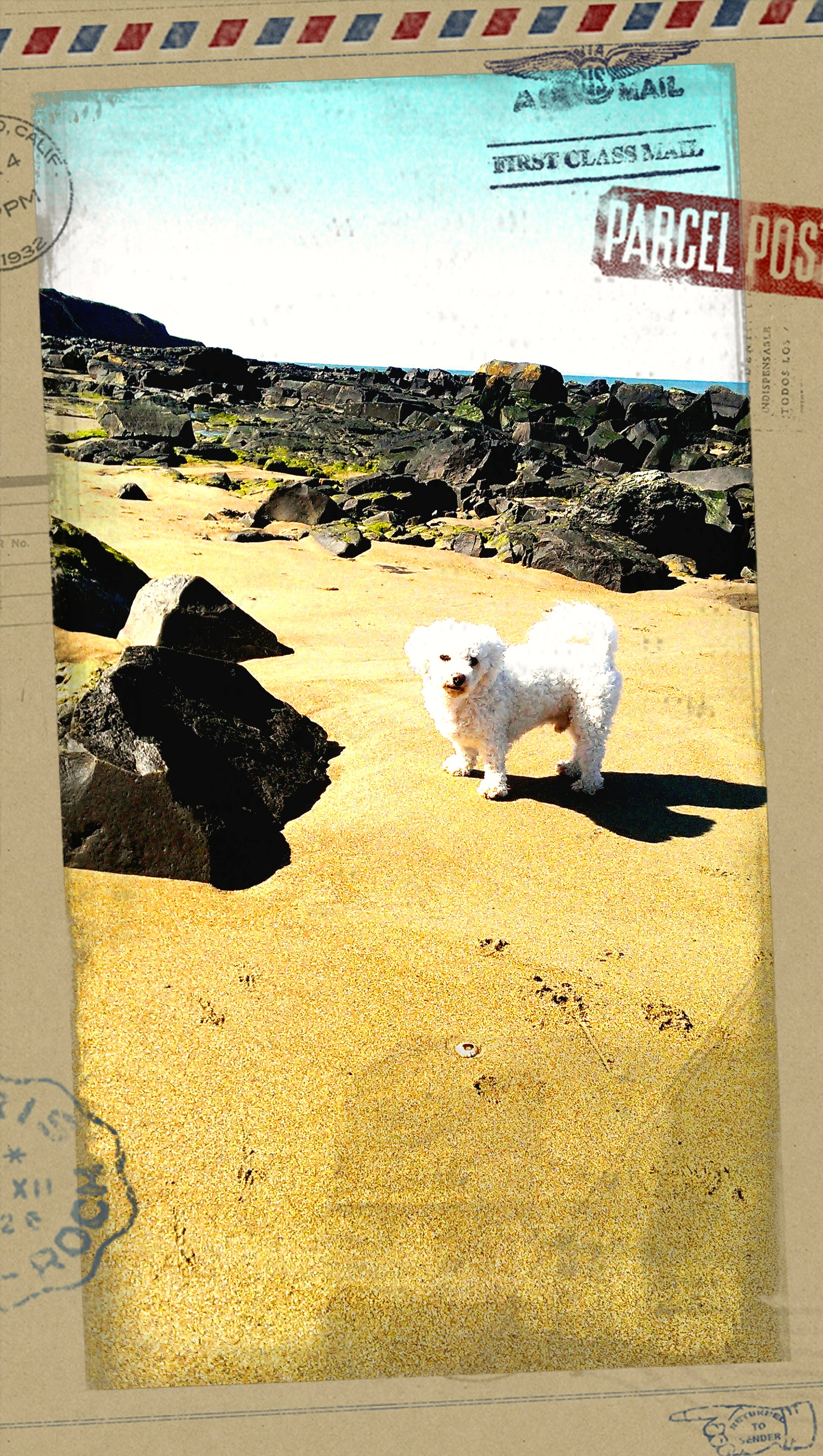 IMAG0024_ZOESHOT013_1.jpg
