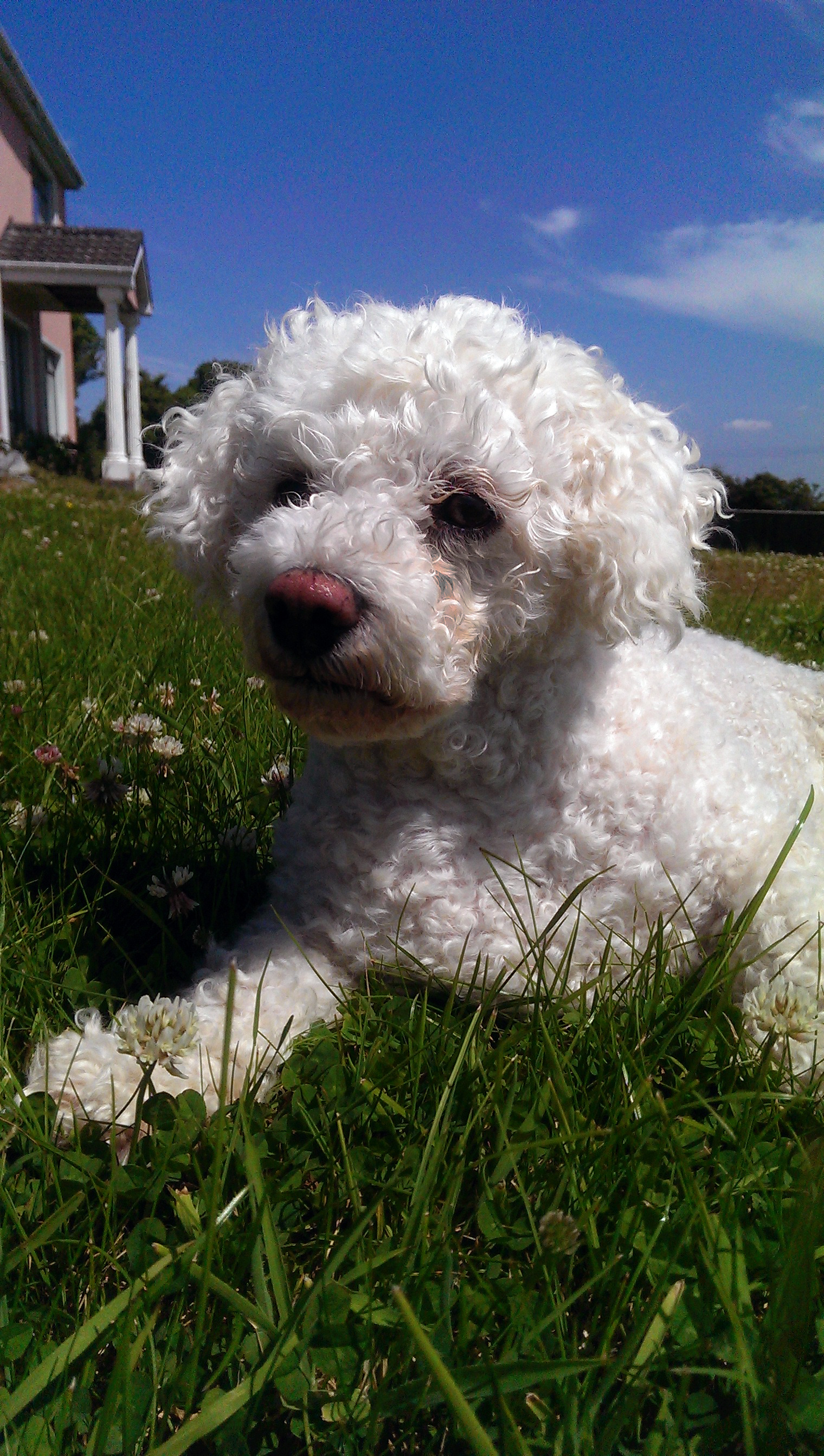 IMAG0026.jpg