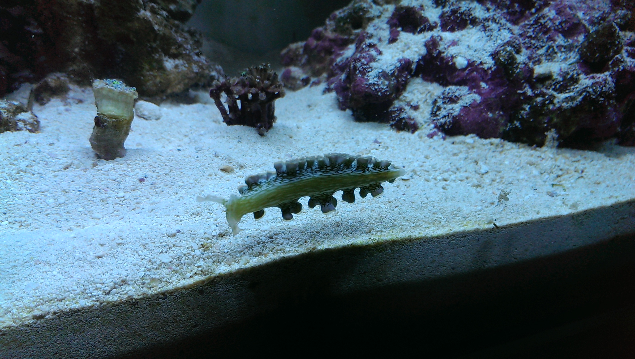 IMAG0100.jpg