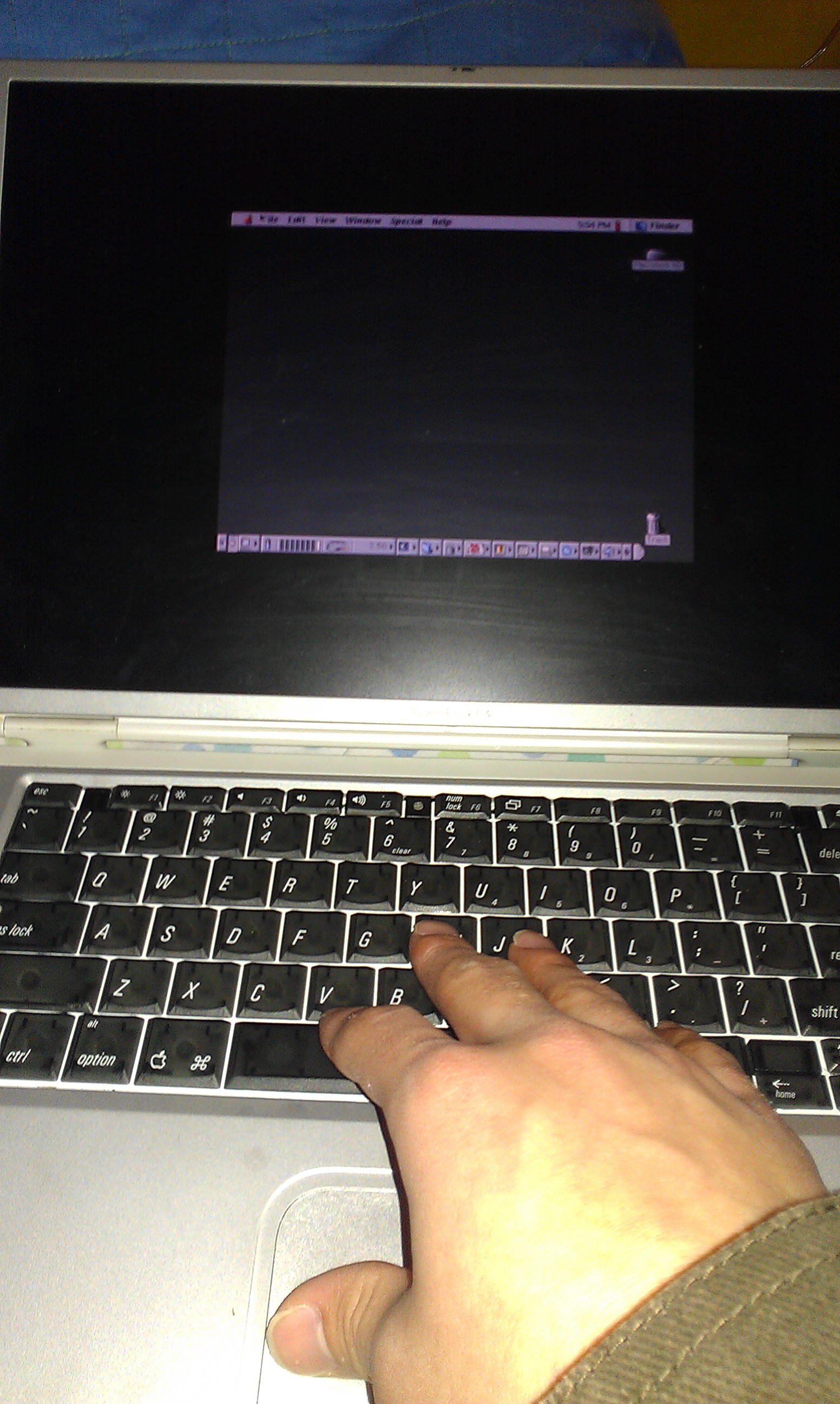 IMAG0103.jpg