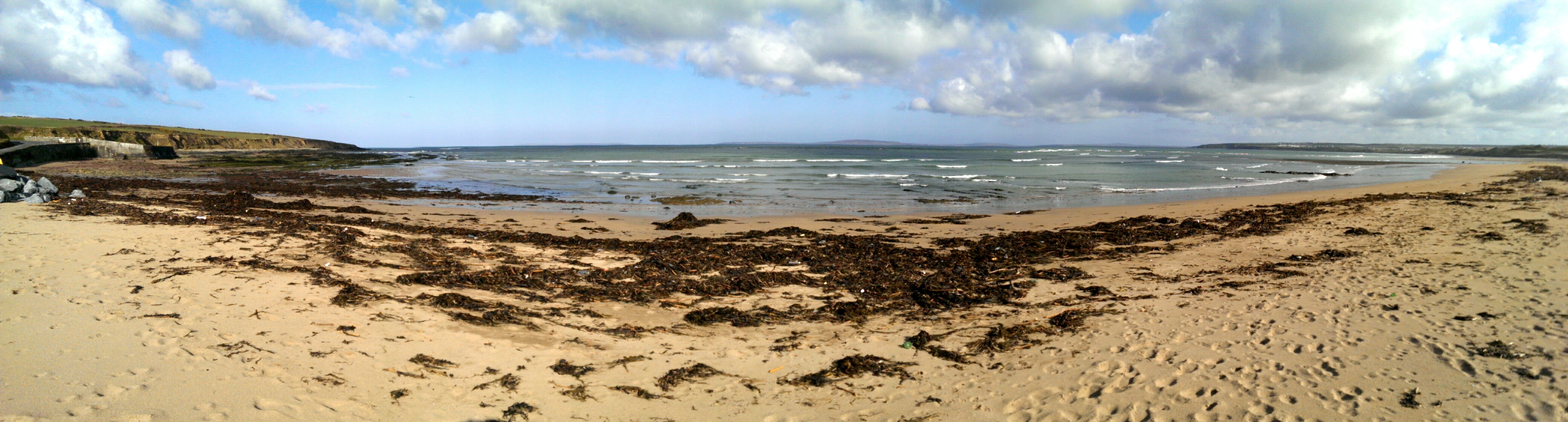 IMAG0117_1.jpg