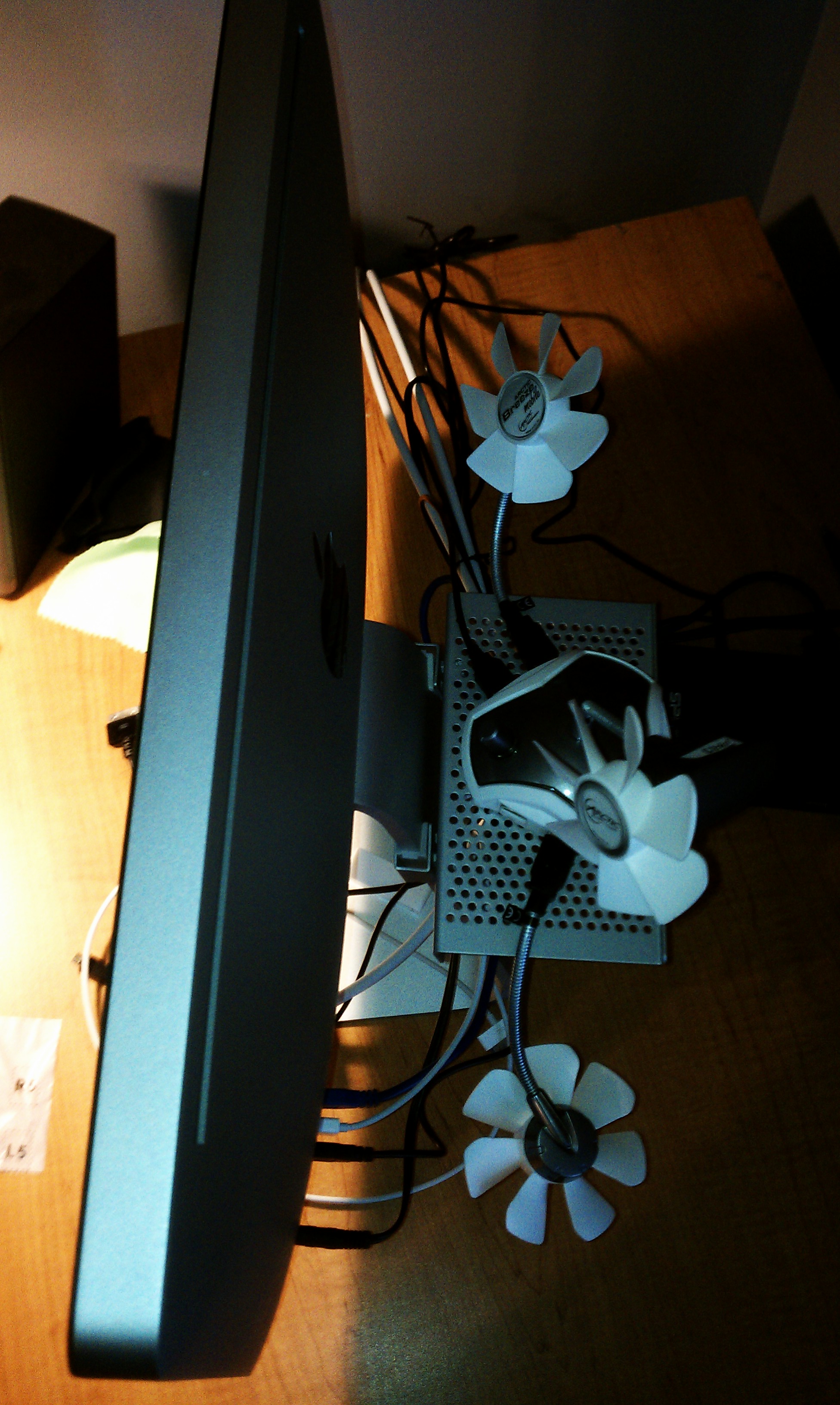 IMAG0130.jpg