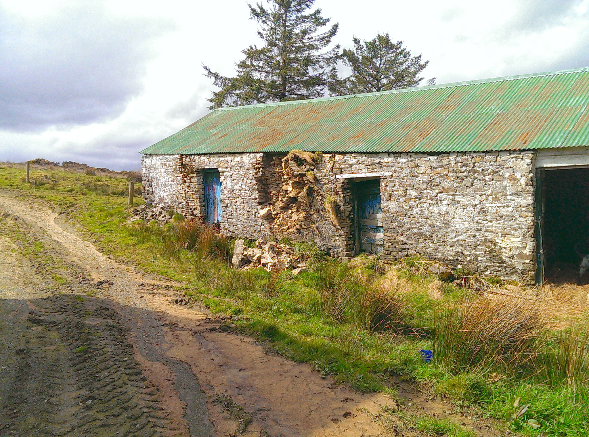 IMAG0201.jpg