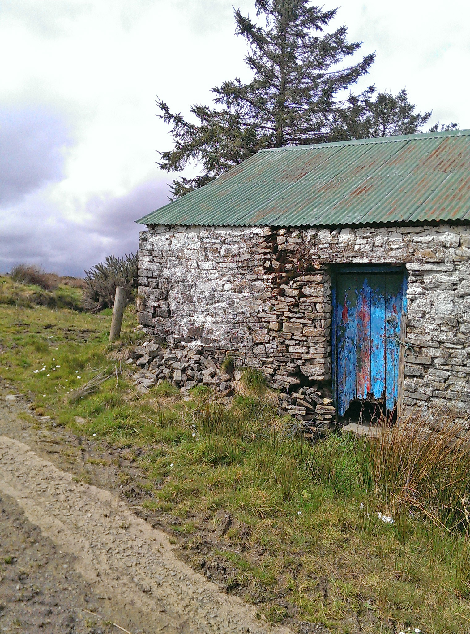 IMAG0204.jpg