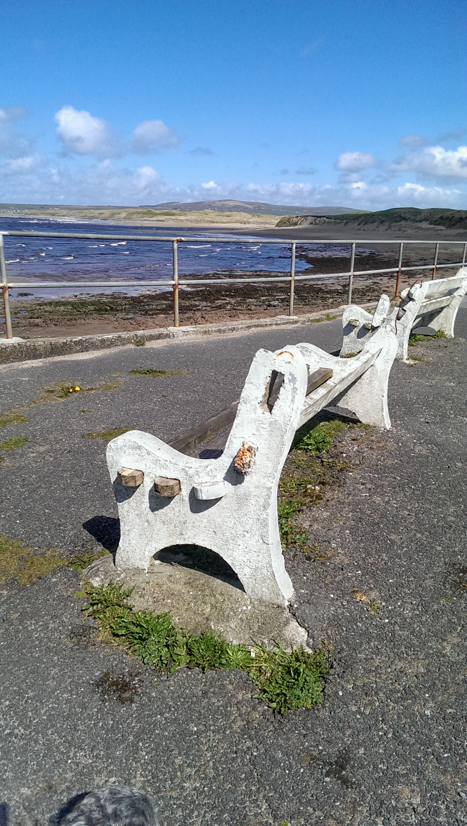 IMAG0234.jpg