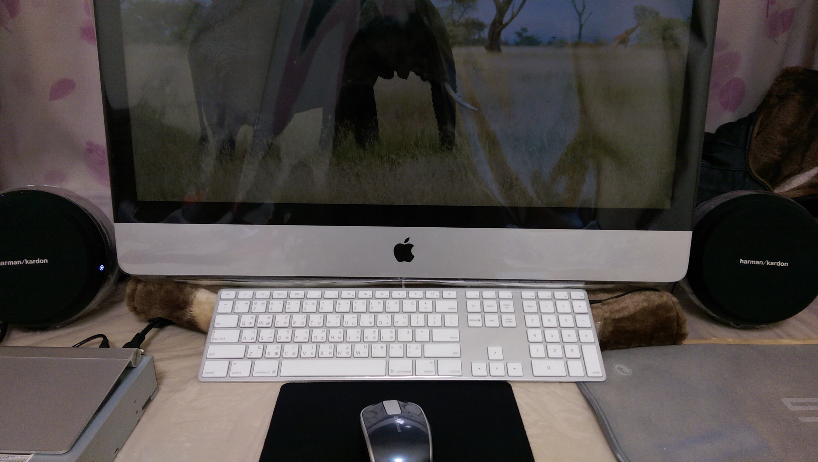 IMAG0622.jpg
