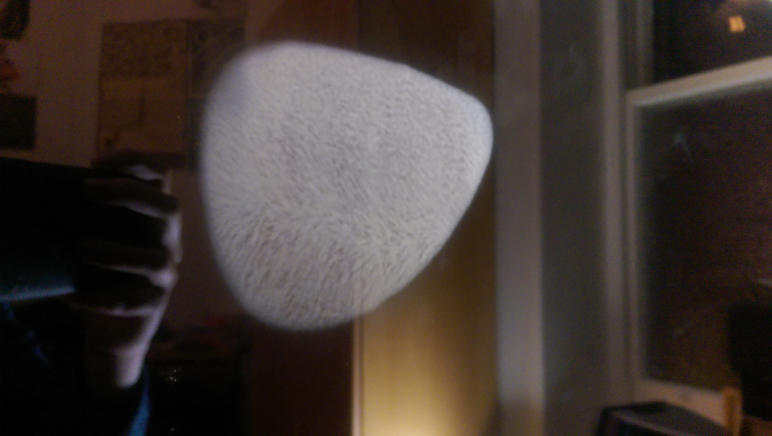 IMAG0835.jpg