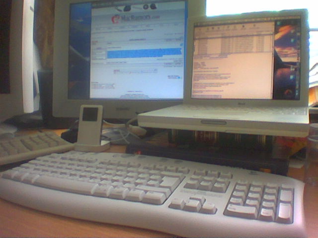 image(19).jpg