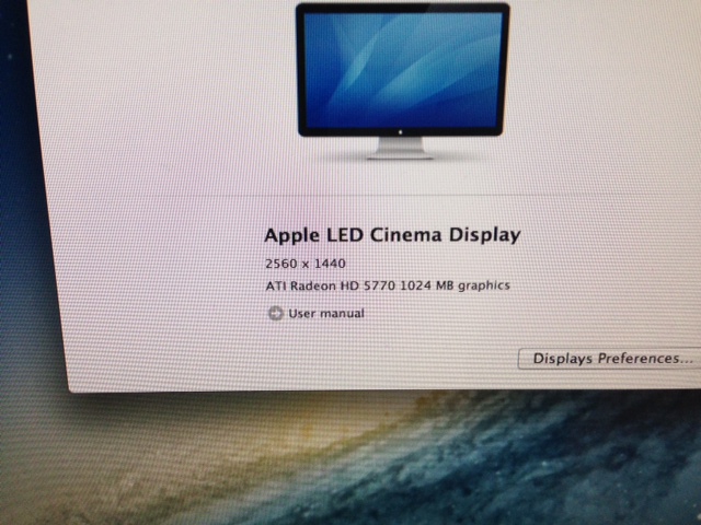 image copy.jpeg
