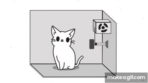 image.gif