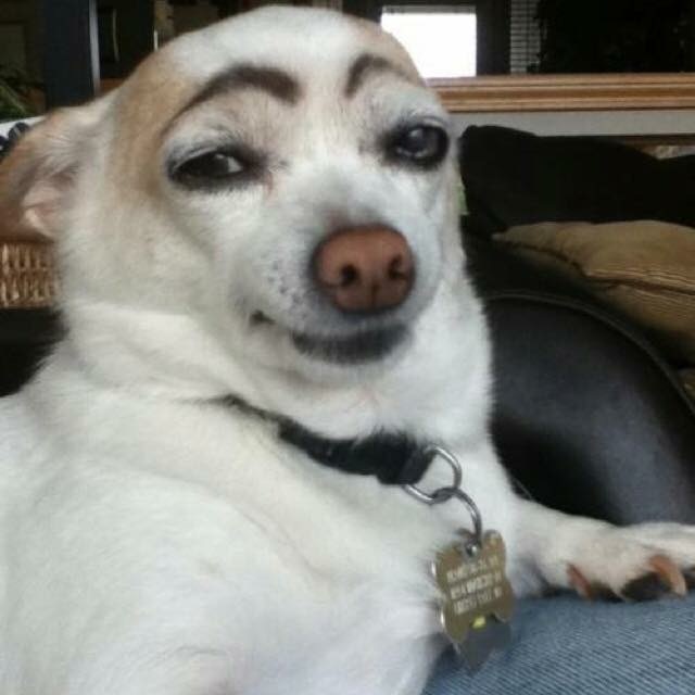 image.jpeg