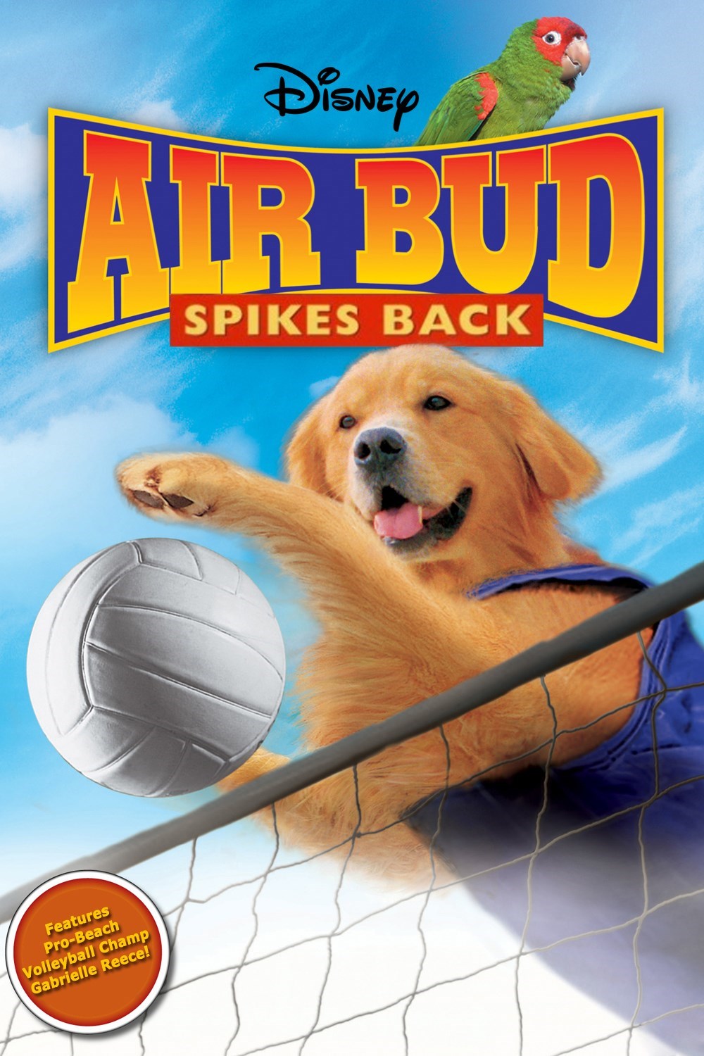 image.jpeg