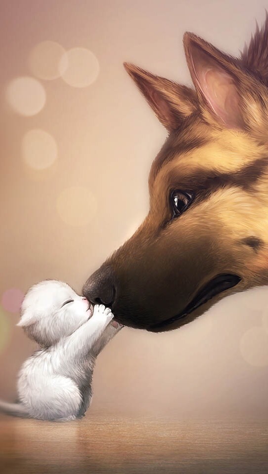 image.jpg