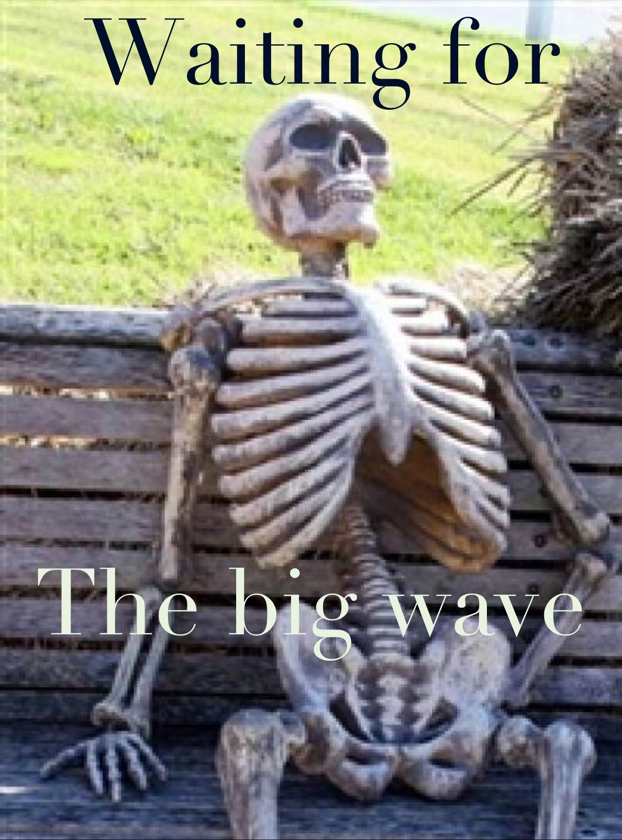image.jpg