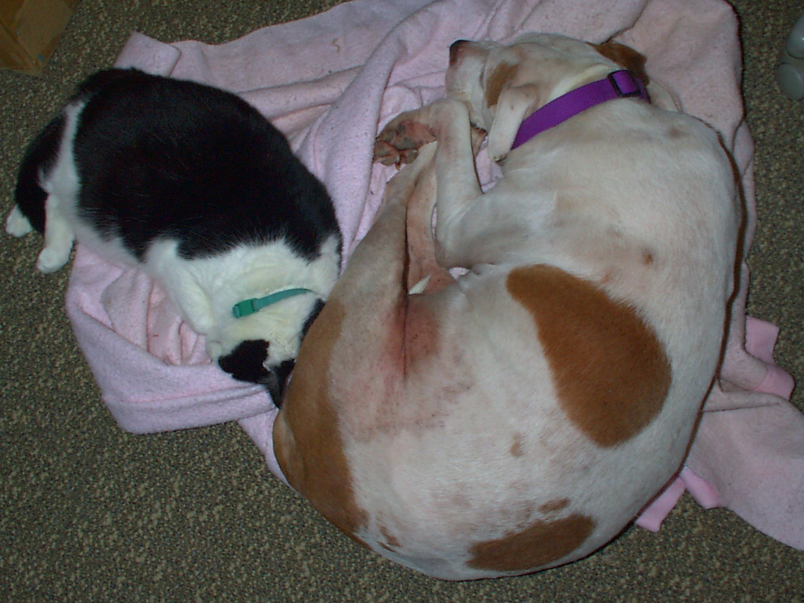 IMAGE013.JPG