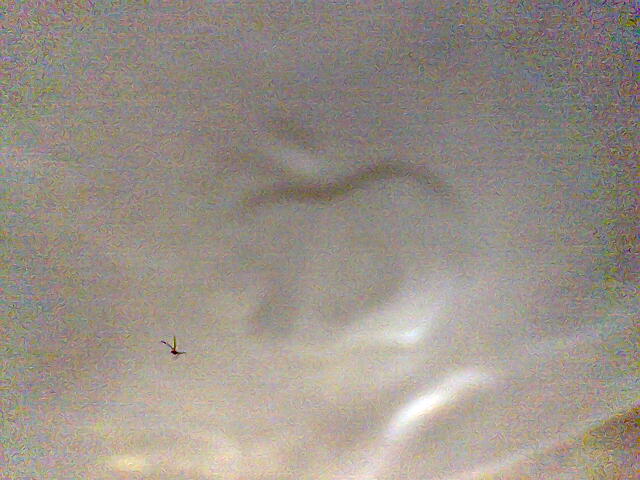 Image054.jpg