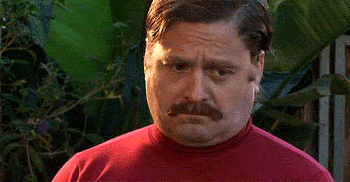image1.GIF