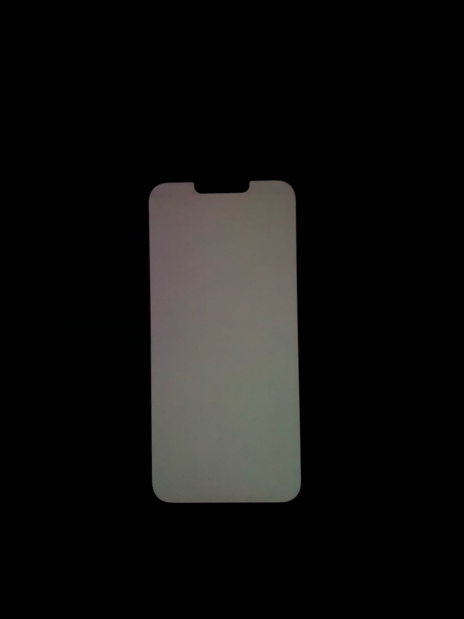 image1.jpeg