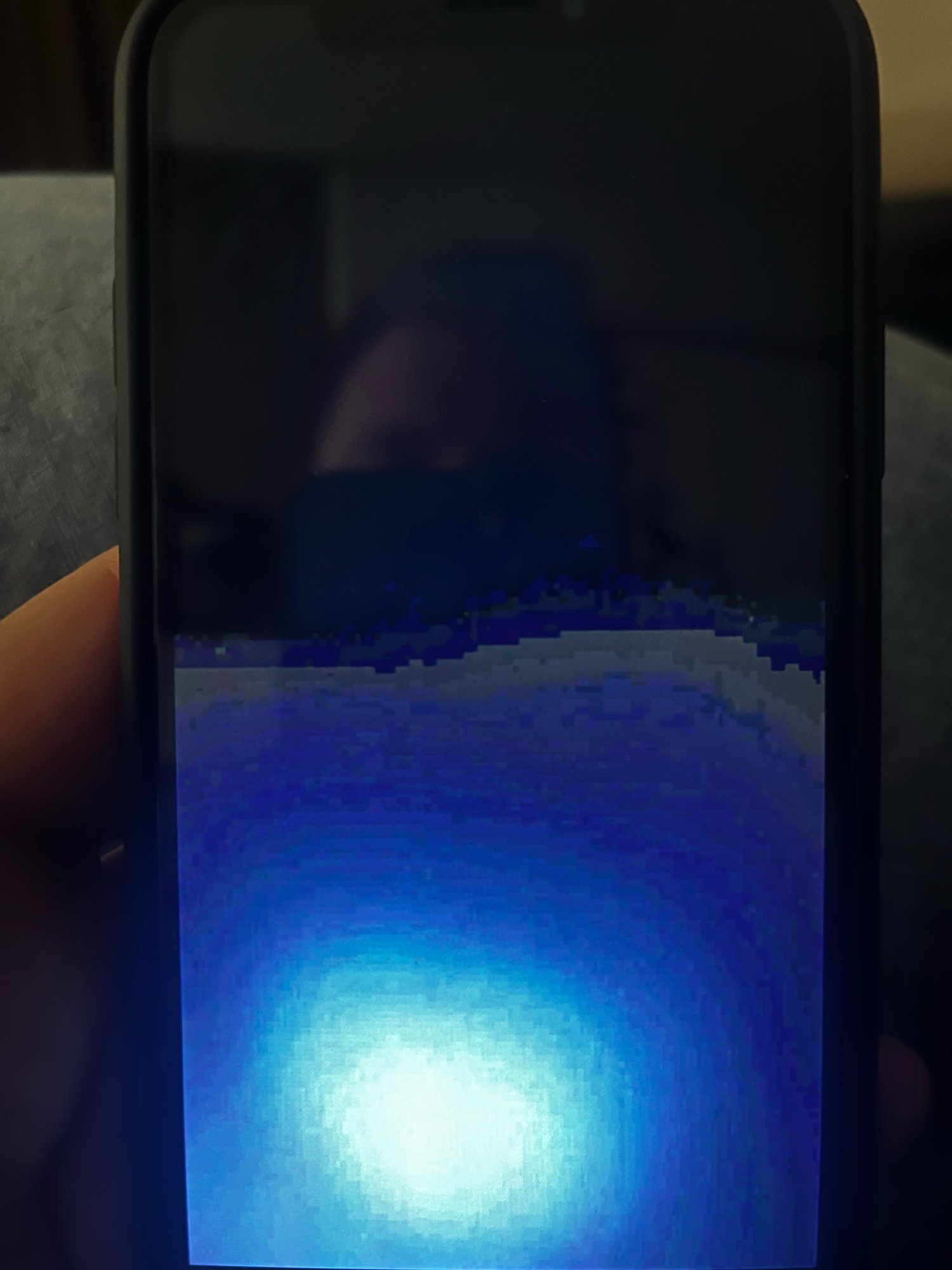 image3.jpeg