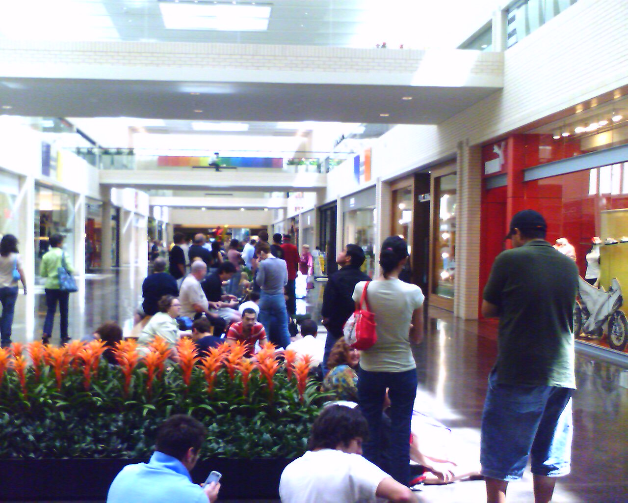 IMAGE_00009.jpg