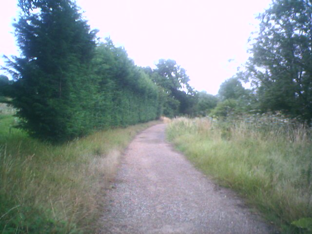 IMAGE_087.jpg