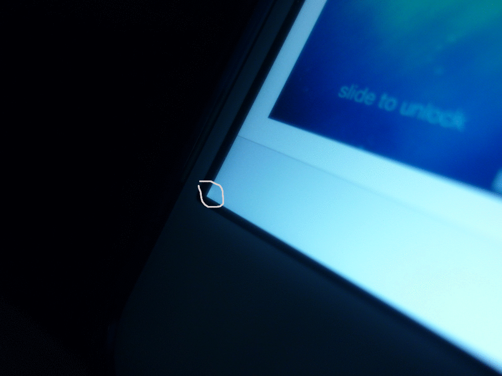 imageedit_2_5240636873.gif