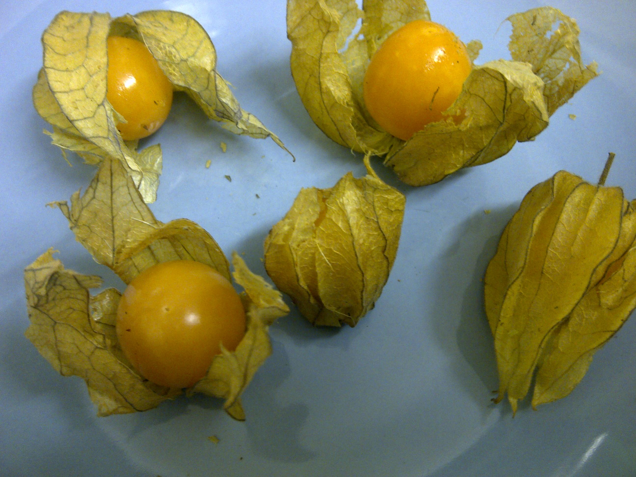 IMG-20110227-00194.jpg