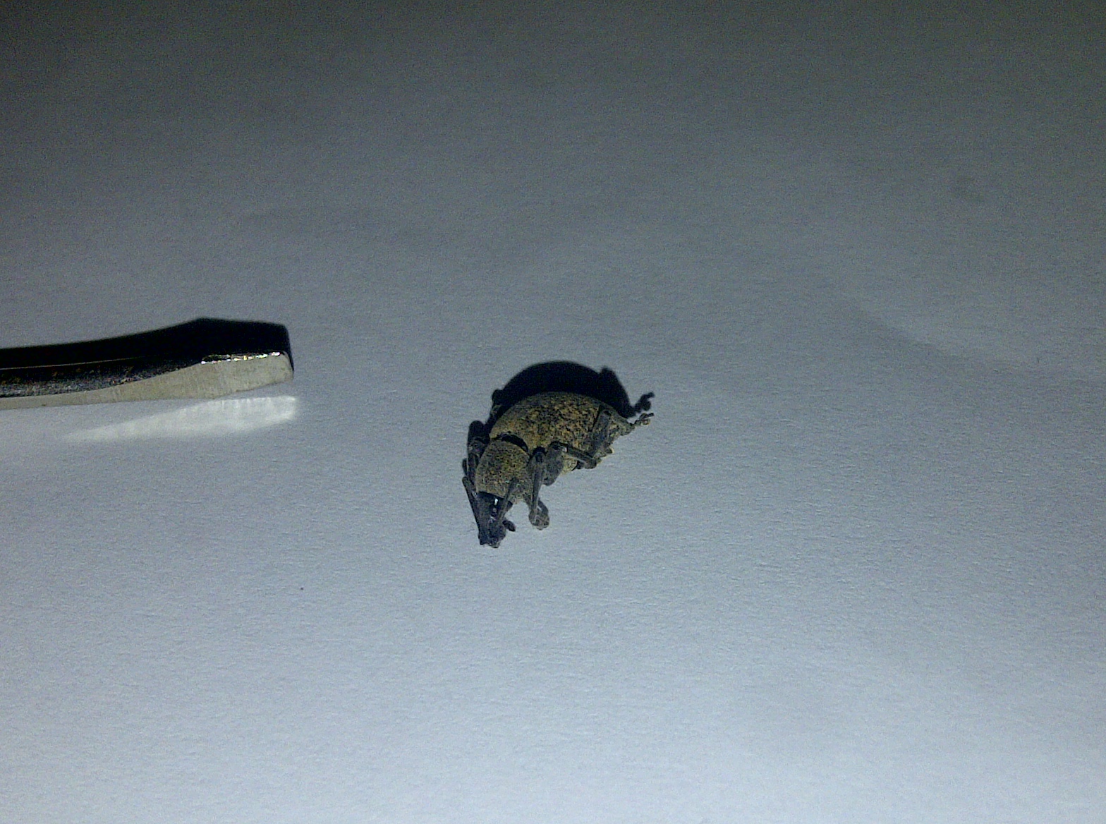 IMG-20110528-00011.jpg
