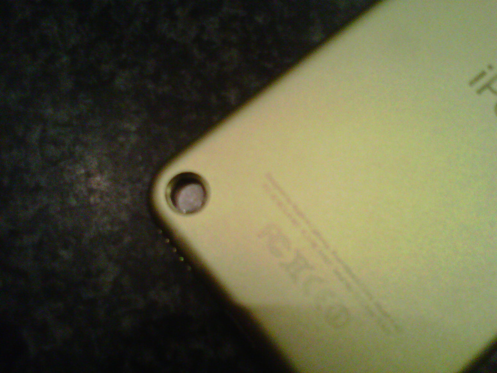 IMG-20121123-00116.jpg