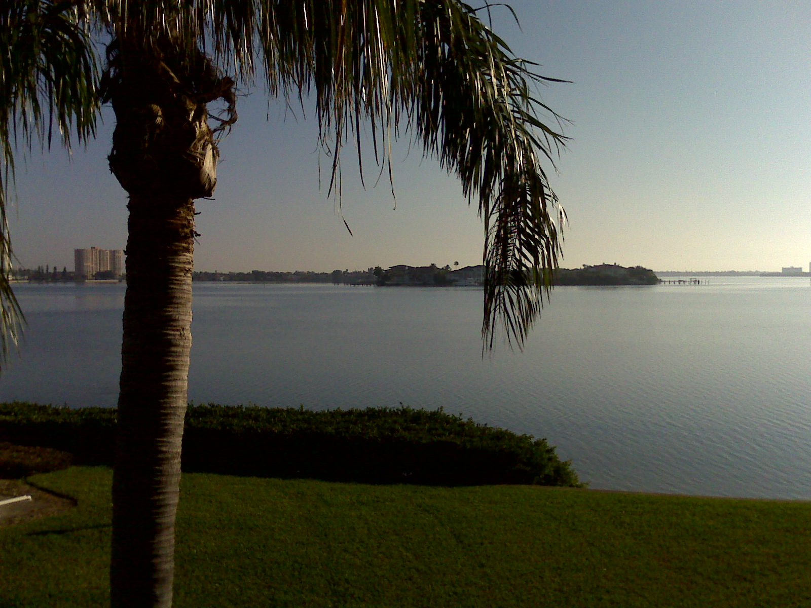 IMG00006.jpg
