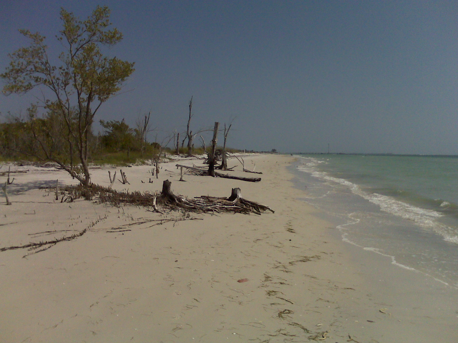 IMG00031.jpg