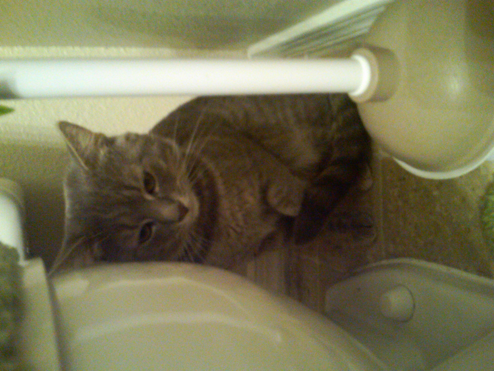 IMG00080-20100328-1858.jpg