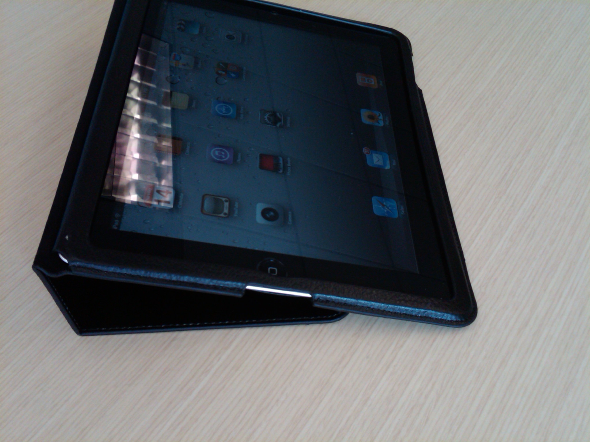 IMG00166-20110414-1312.jpg