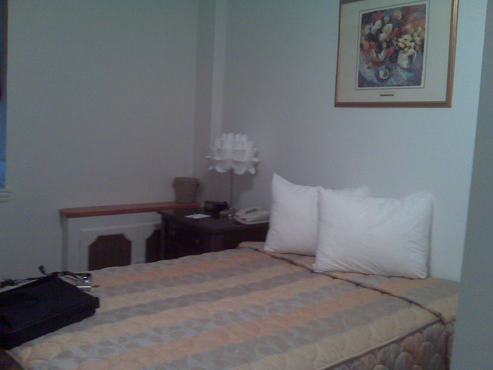 IMG00853.jpg