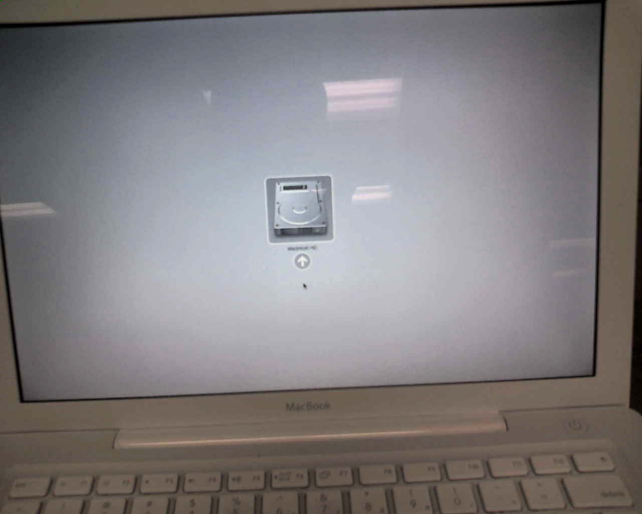 img092.jpg