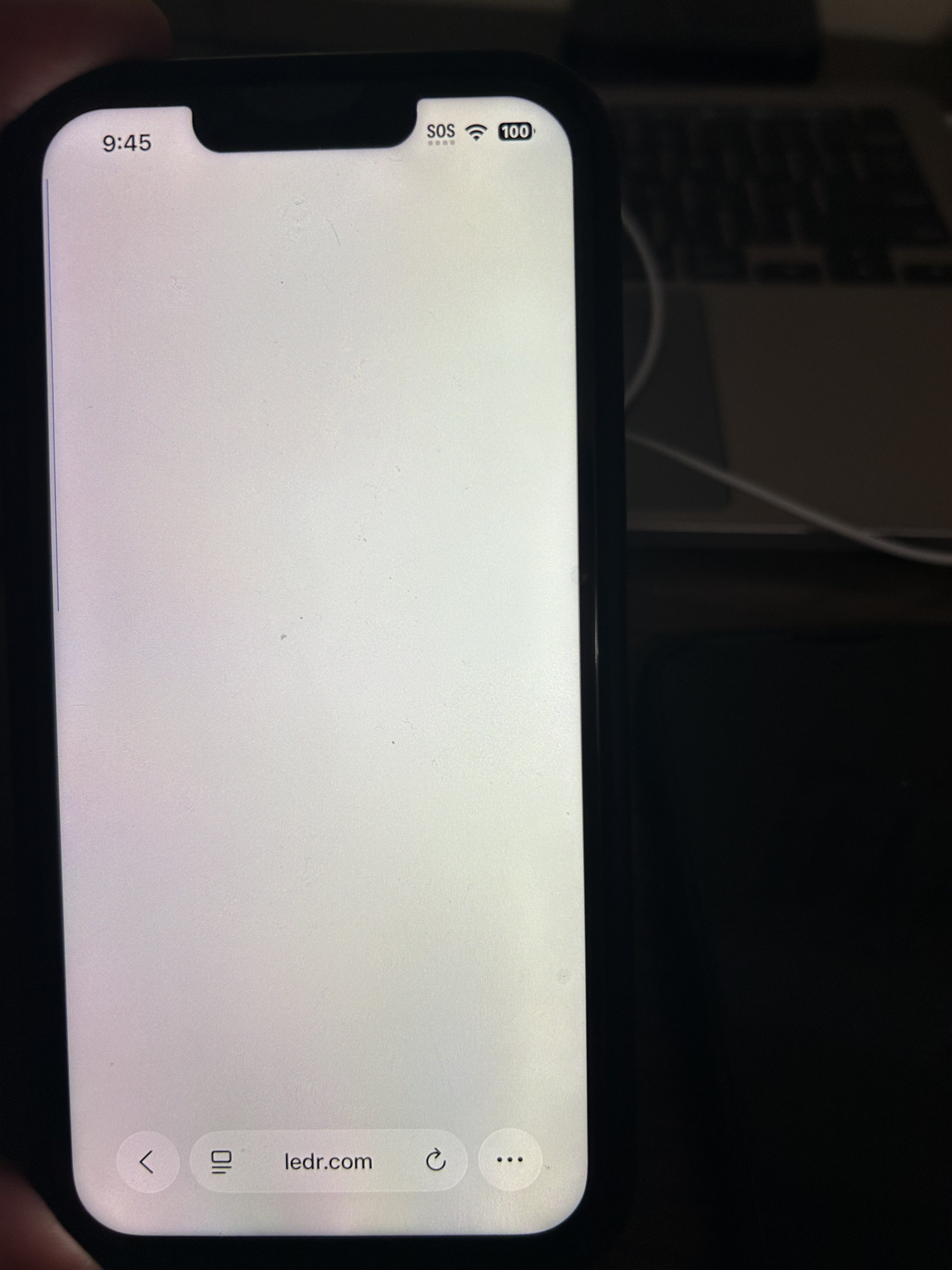 IMG_0004.jpeg