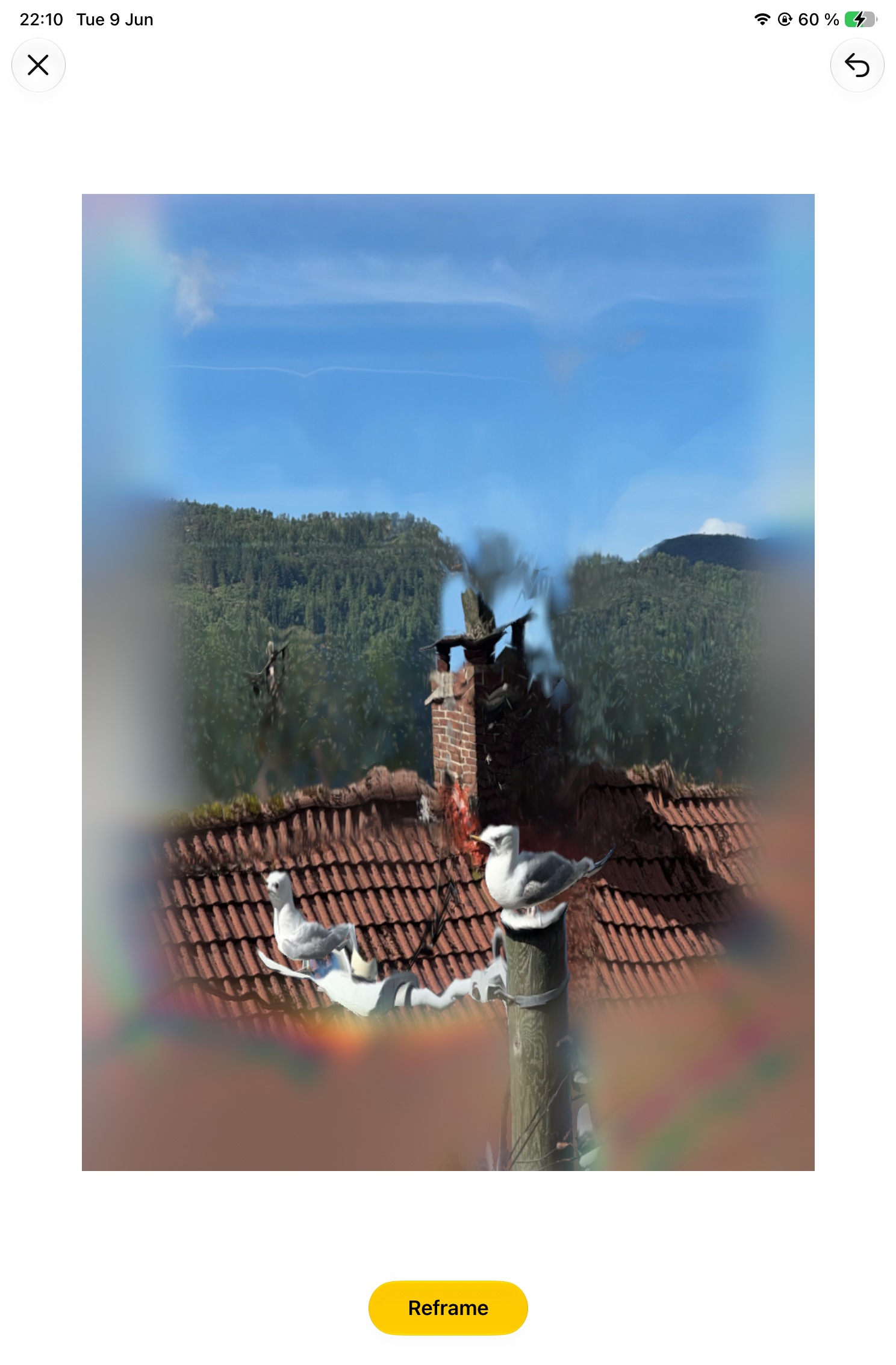 IMG_0006.png