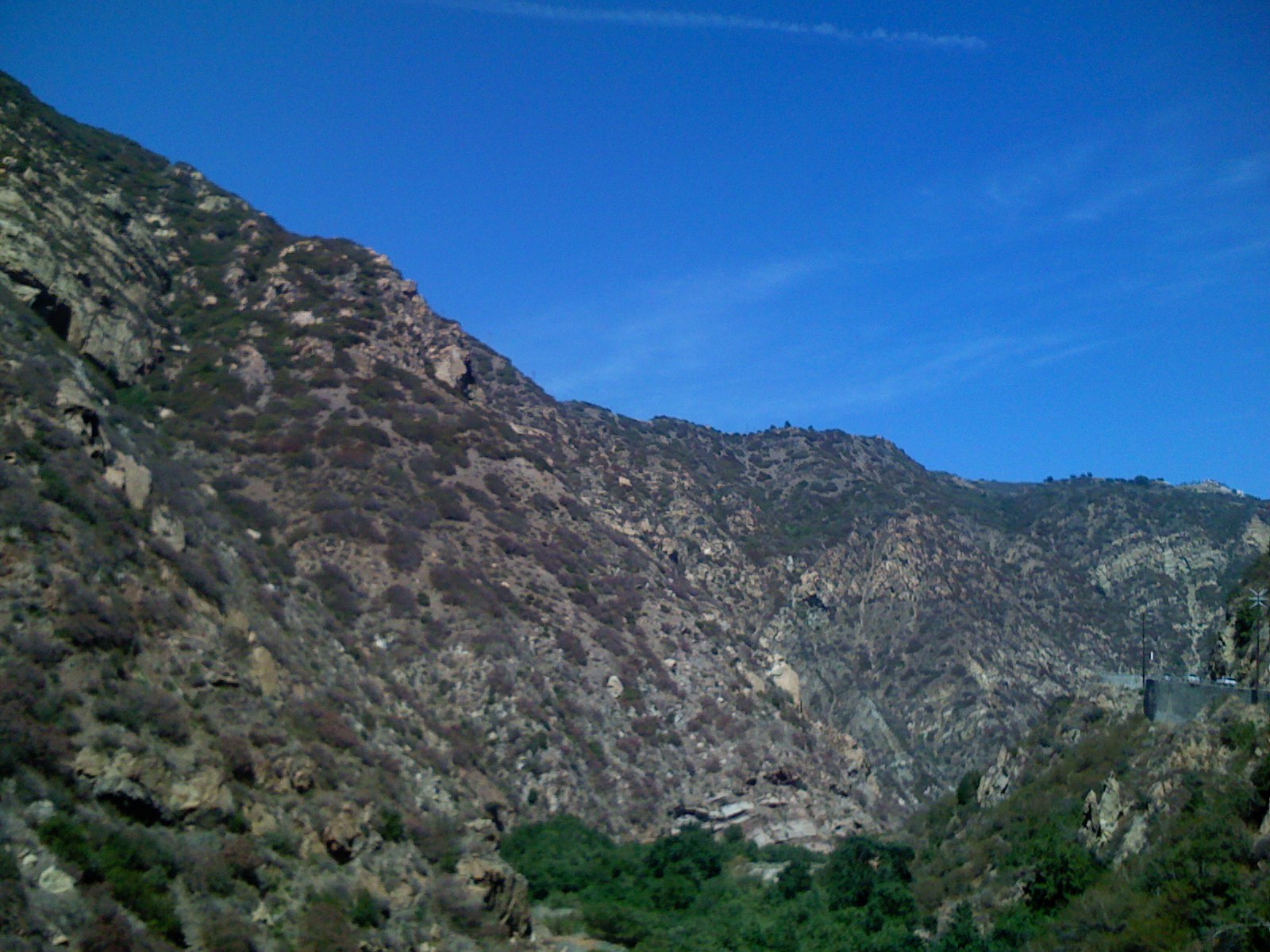 IMG_0010.JPG