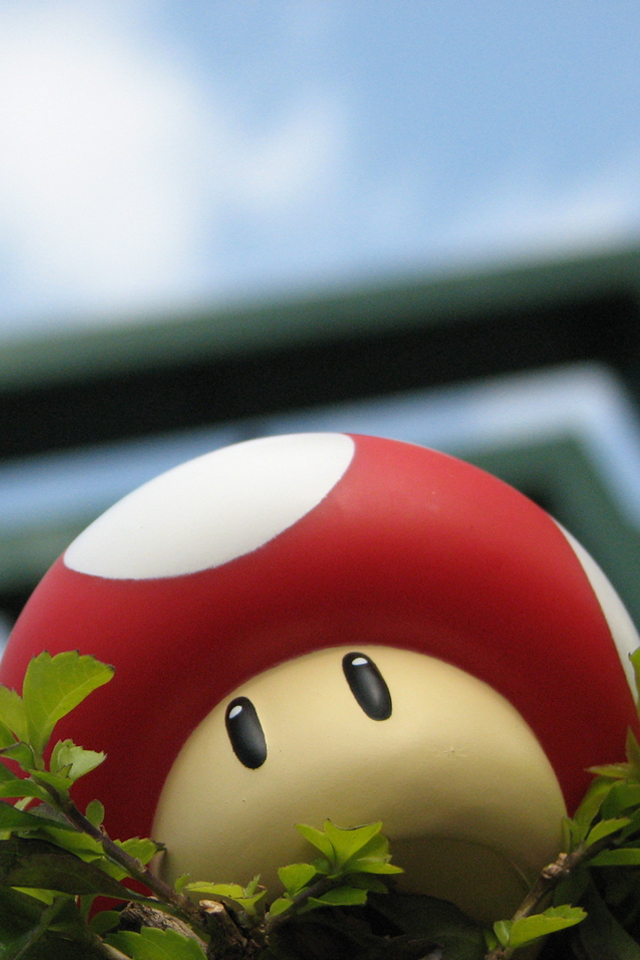 IMG_0013.PNG