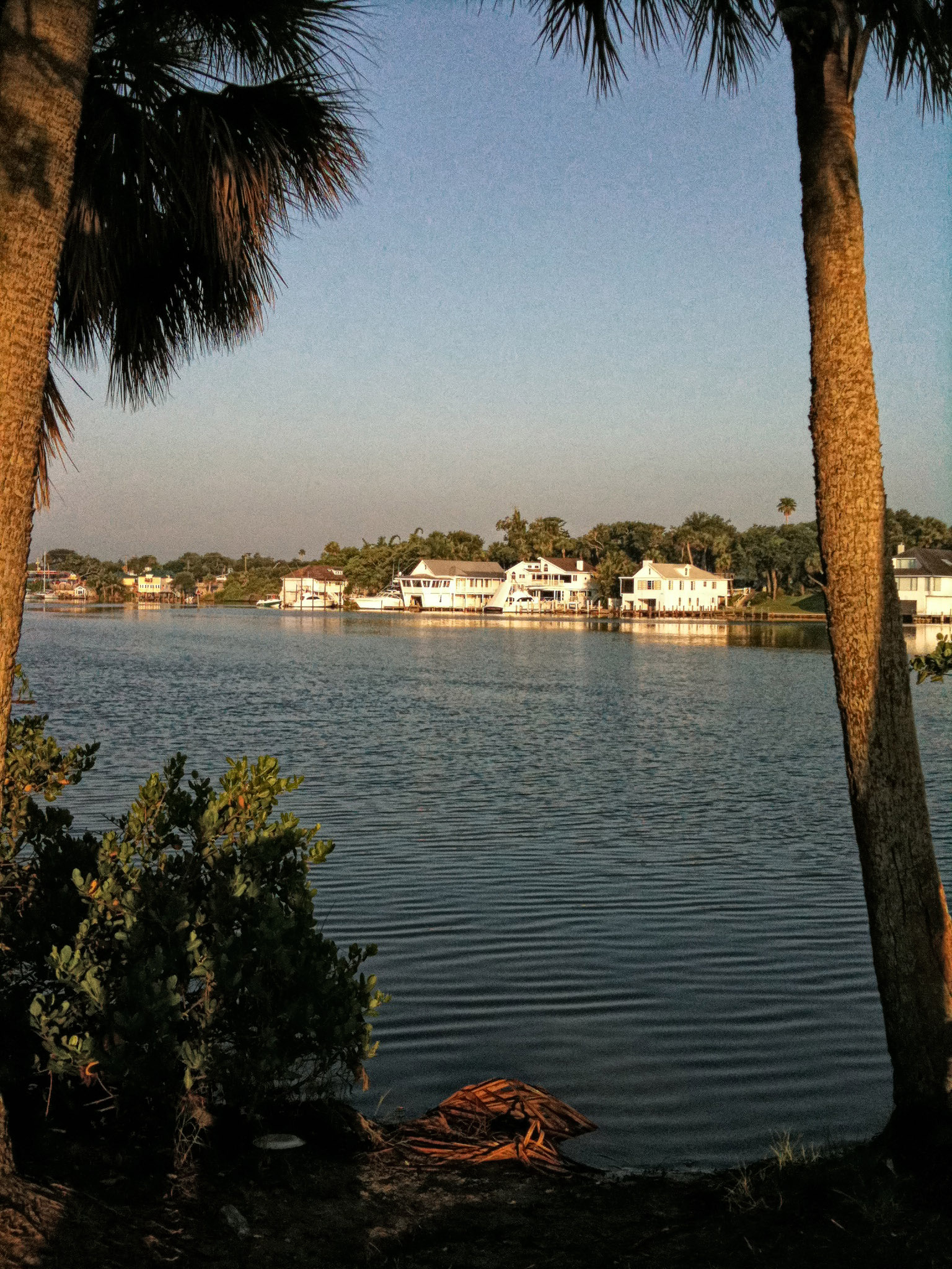 IMG_0015BB.jpg