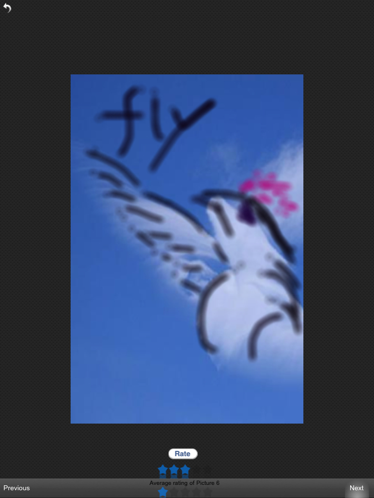 IMG_0017.PNG