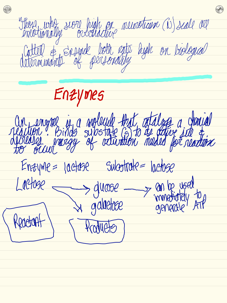 IMG_0019.PNG