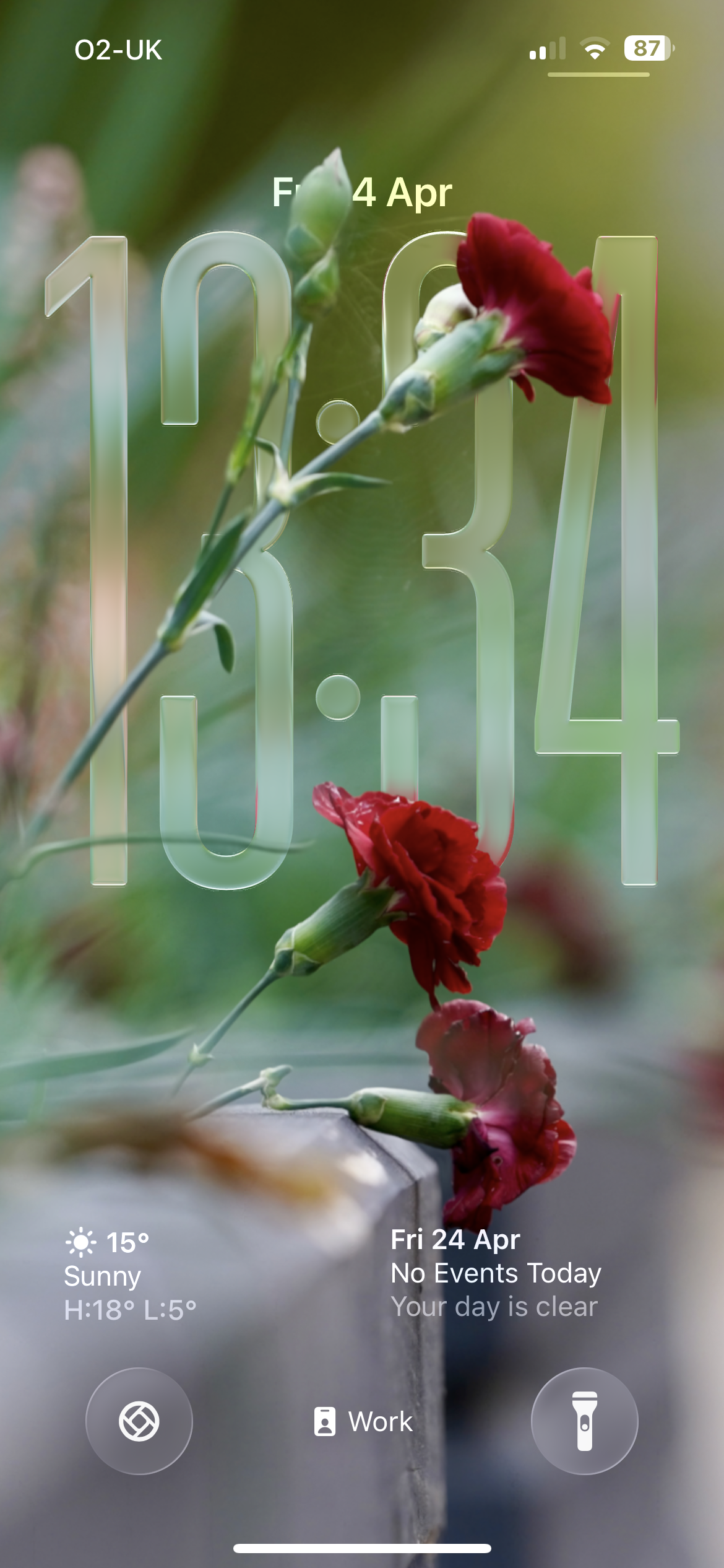 IMG_0022.PNG
